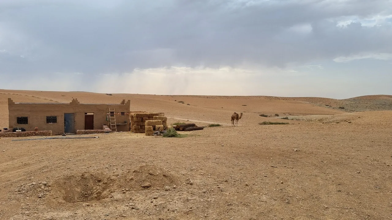 20220910_173348-scaled.jpg