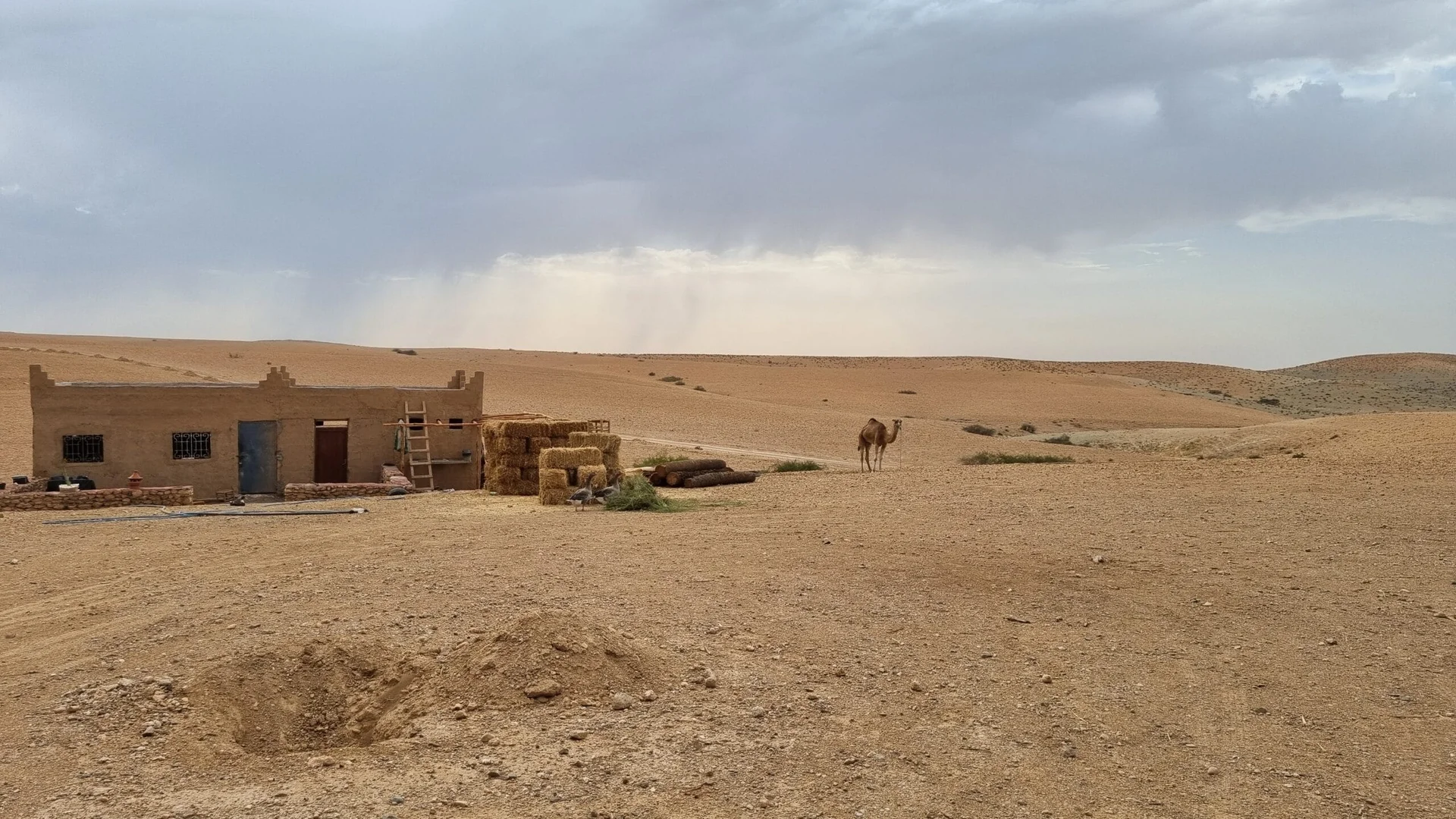 20220910_173348-scaled.jpg