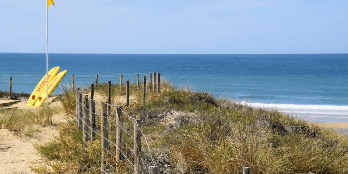 Cap Ferret Cover
