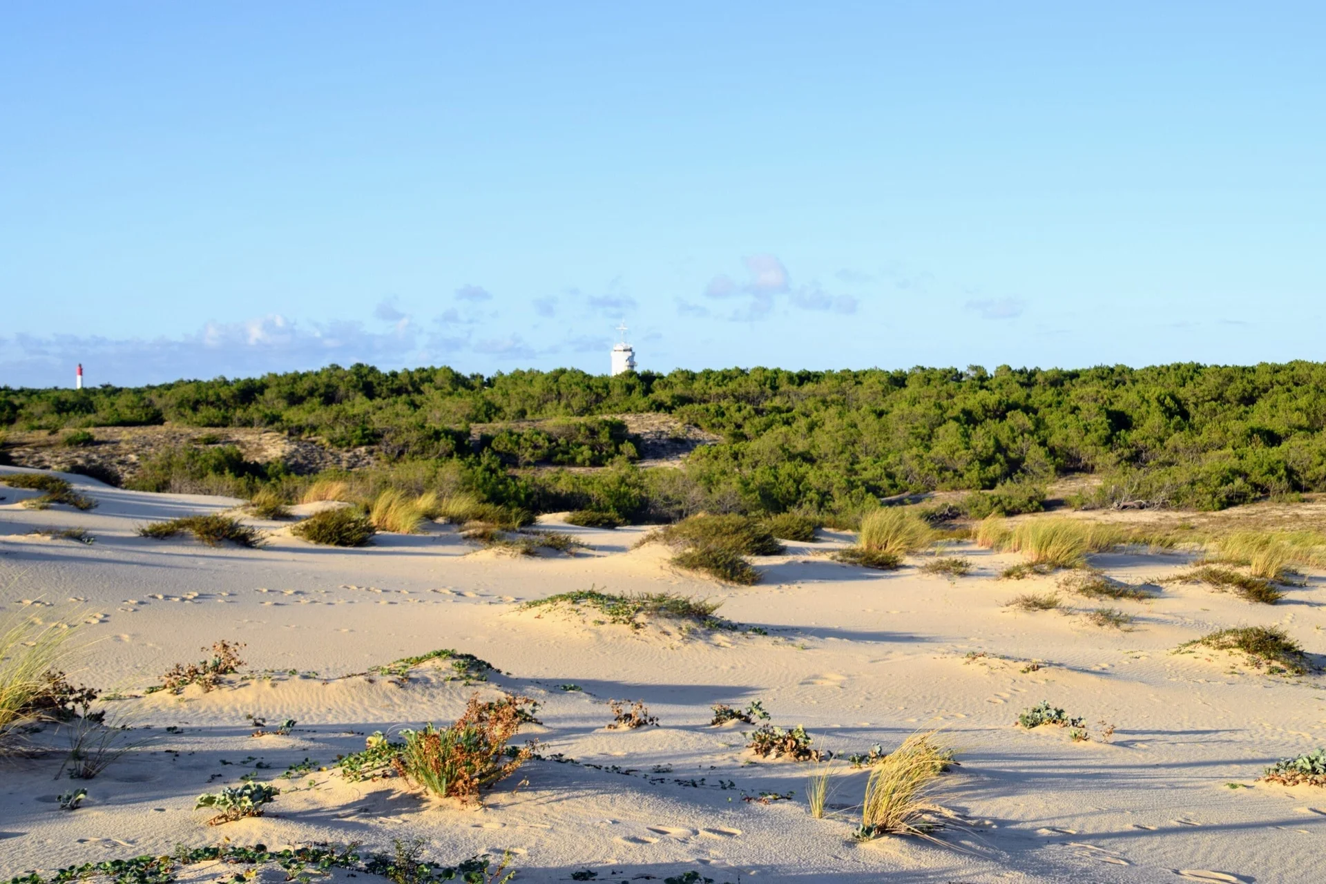 Abécédaire des Dunes, Cap Ferret