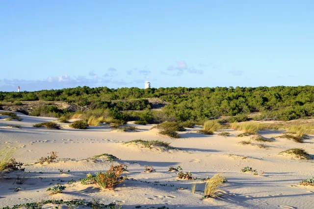 Abécédaire des Dunes, Cap Ferret