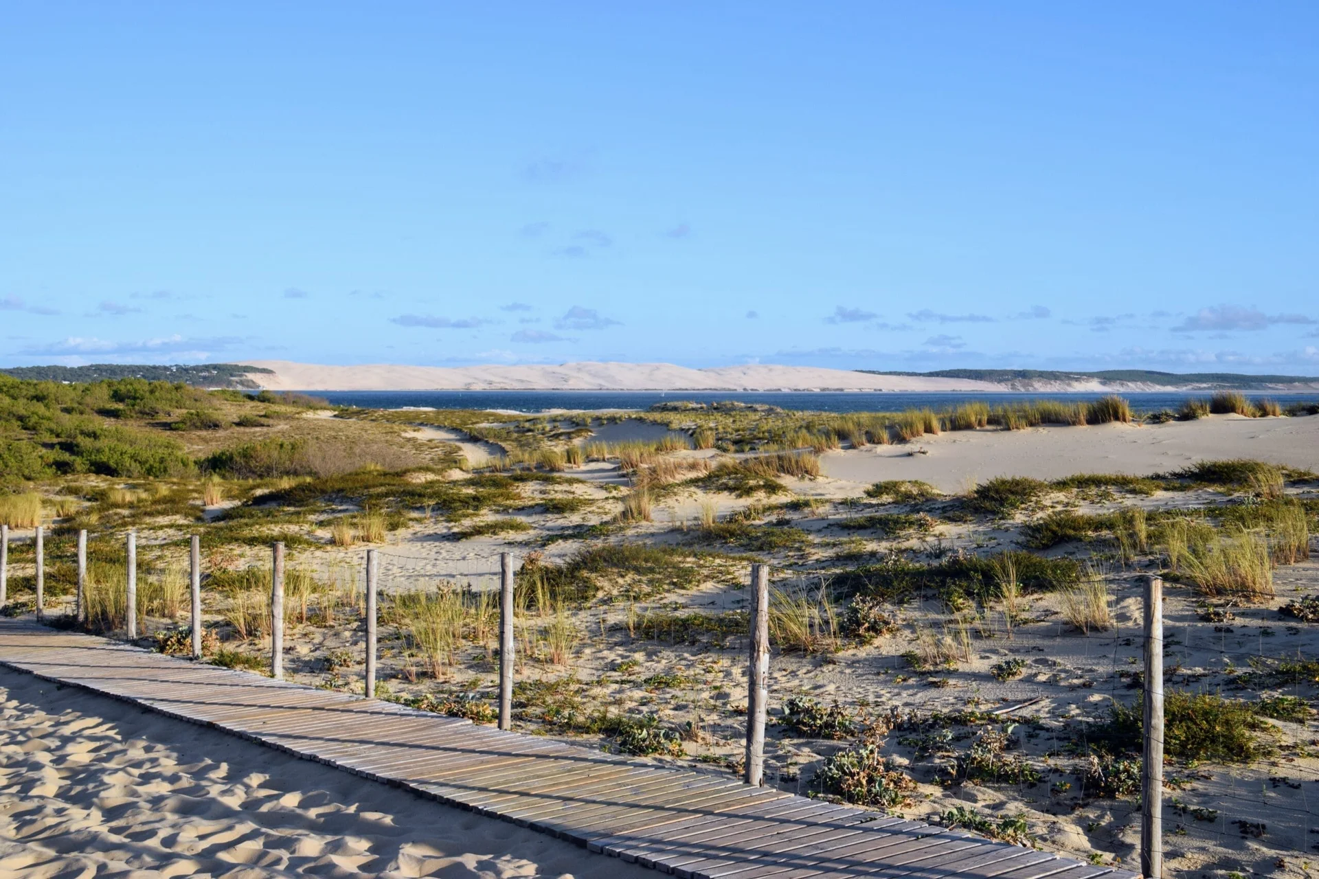 Abécédaire des Dunes, Cap Ferret