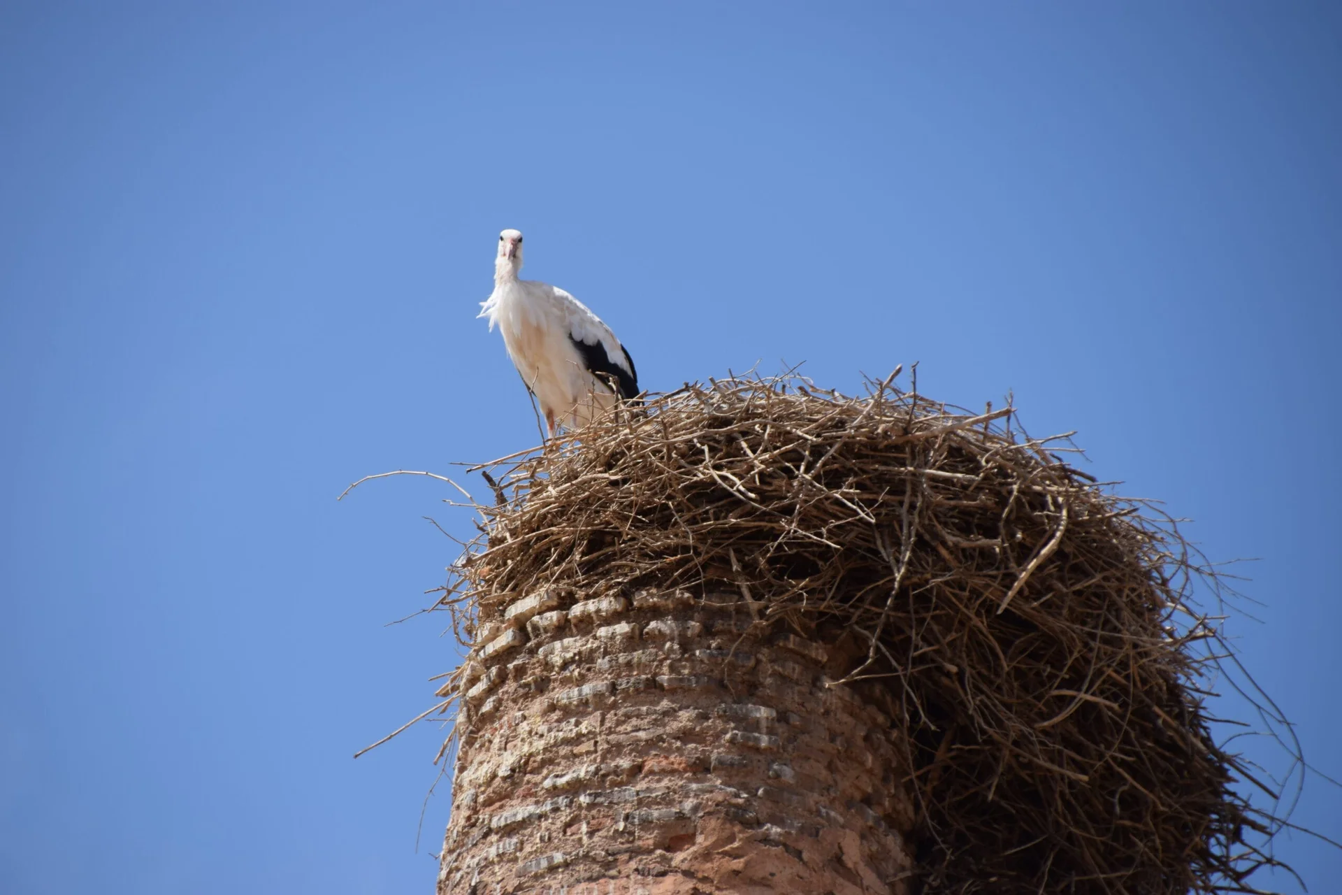 DSC_0039-scaled.jpg