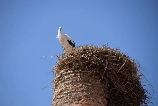 DSC_0039-scaled.jpg