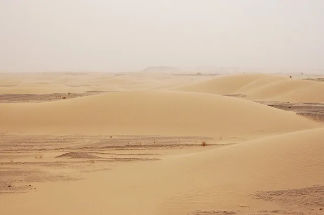 Dunes de sable dans le Sahara