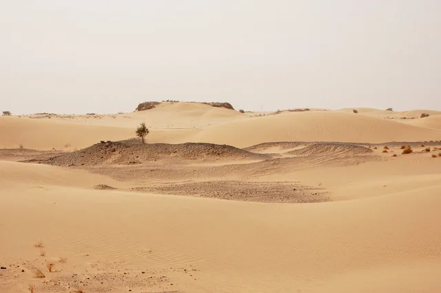 Dunes de sable dans le Sahara