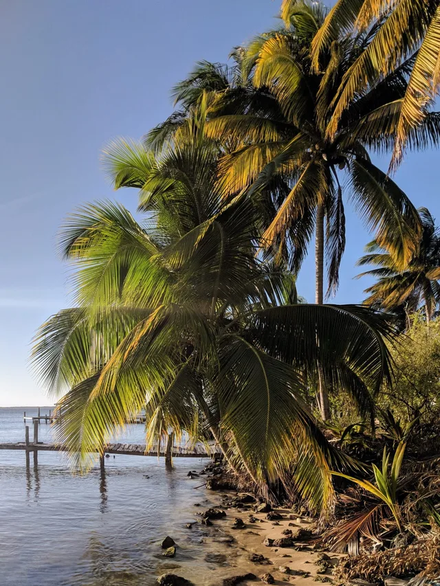 South Water Caye, Belize