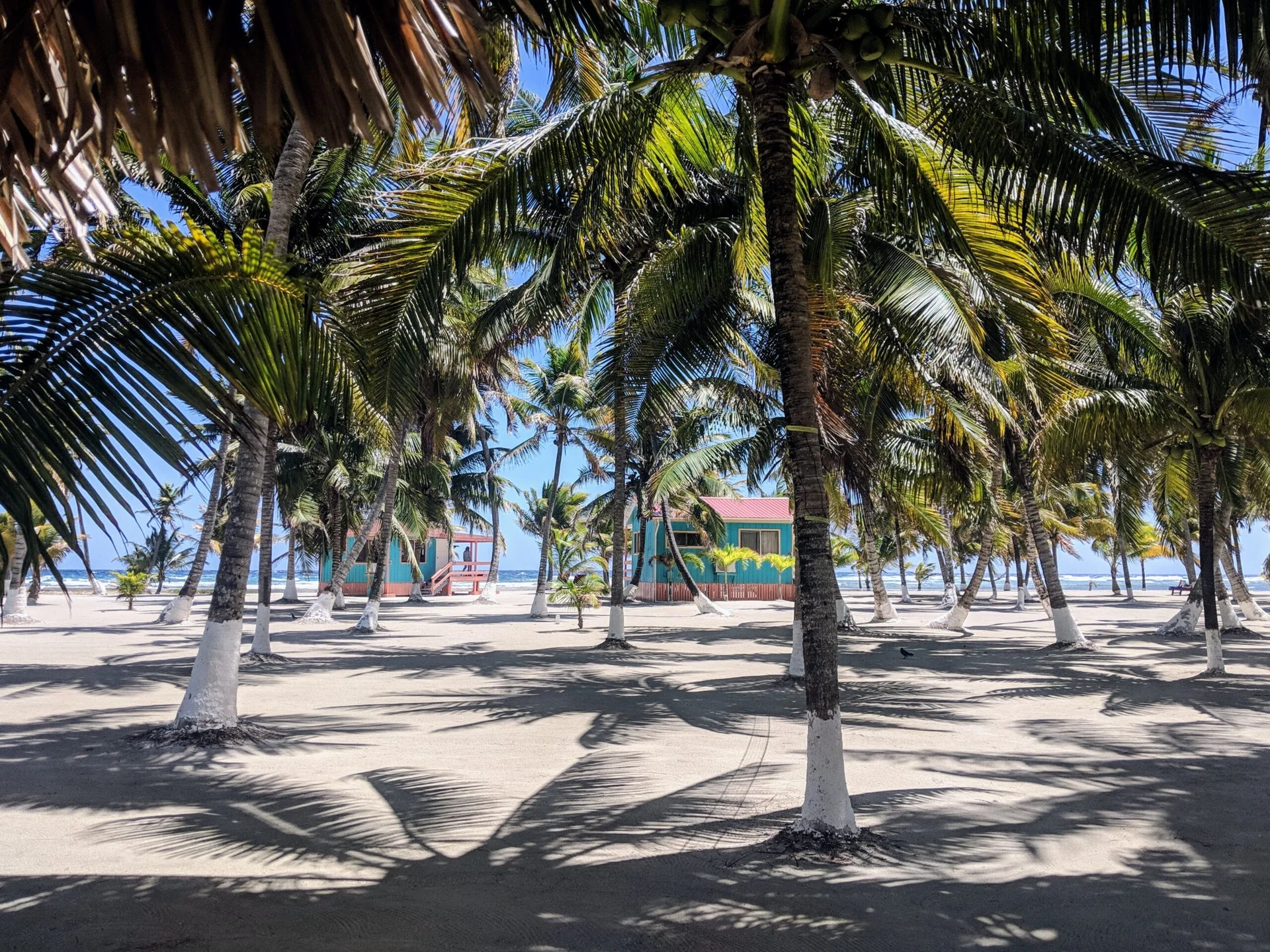 South Water Caye, Belize