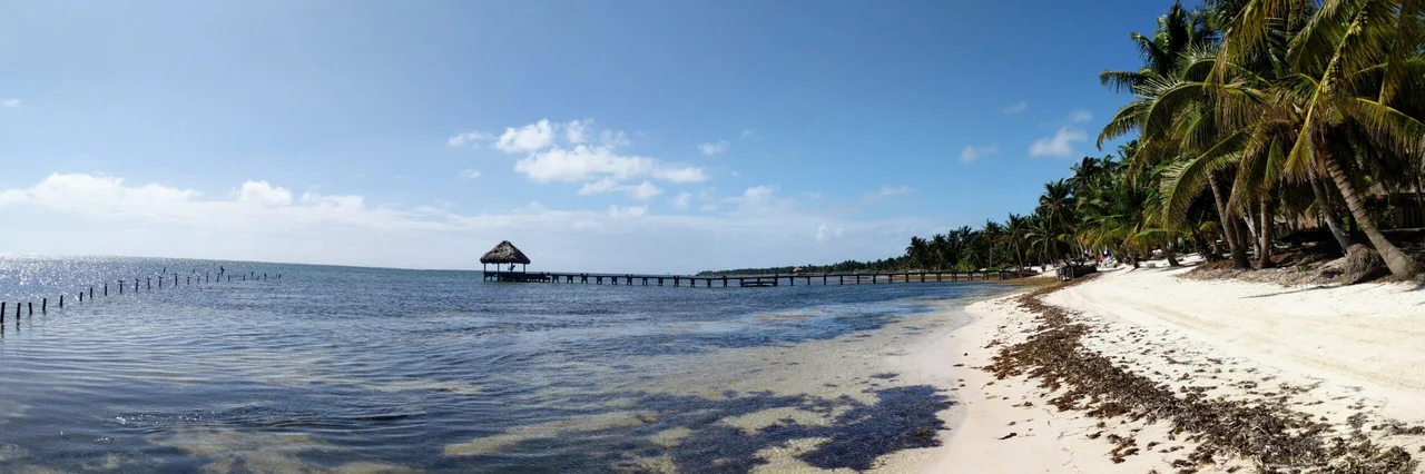 PANO_20180209_100333-scaled.jpg