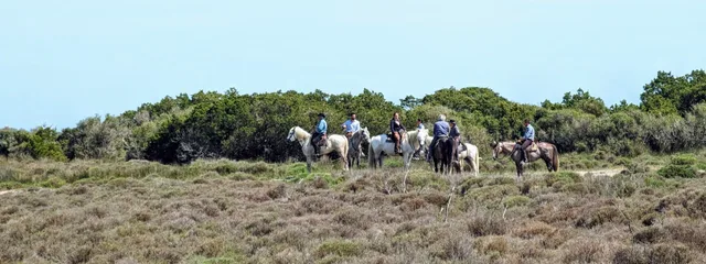 Gardians et manadier