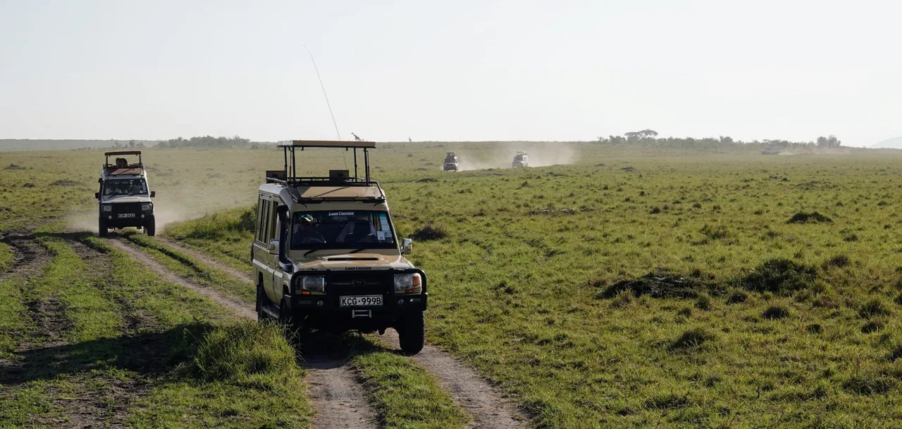 Sur les pistes du Masai Mara
