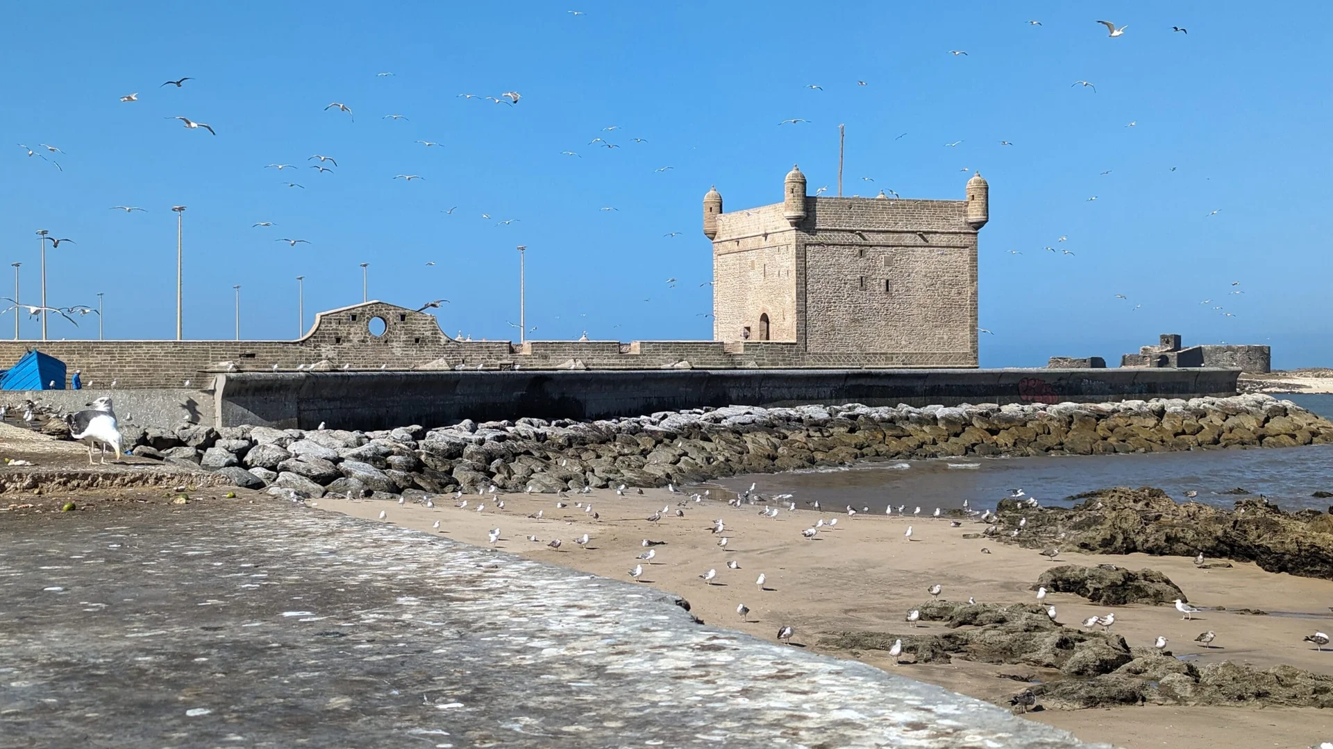 Port de pêche d'Essaouira