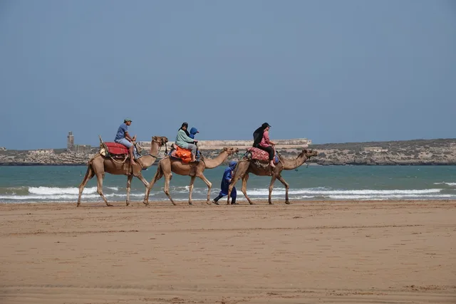 Essaouira356-scaled.jpg