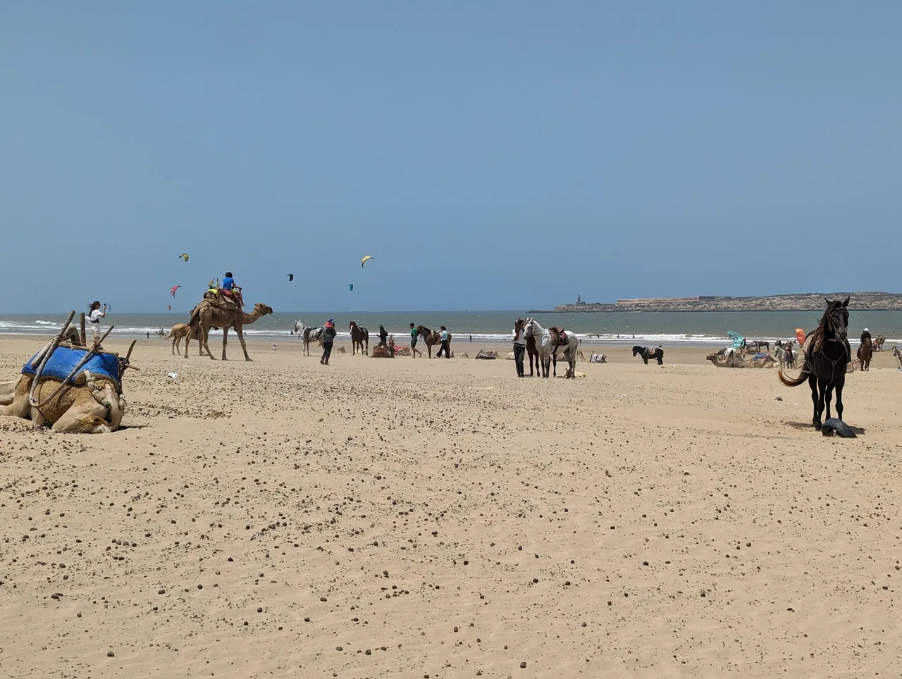 Plage d'Essaouira