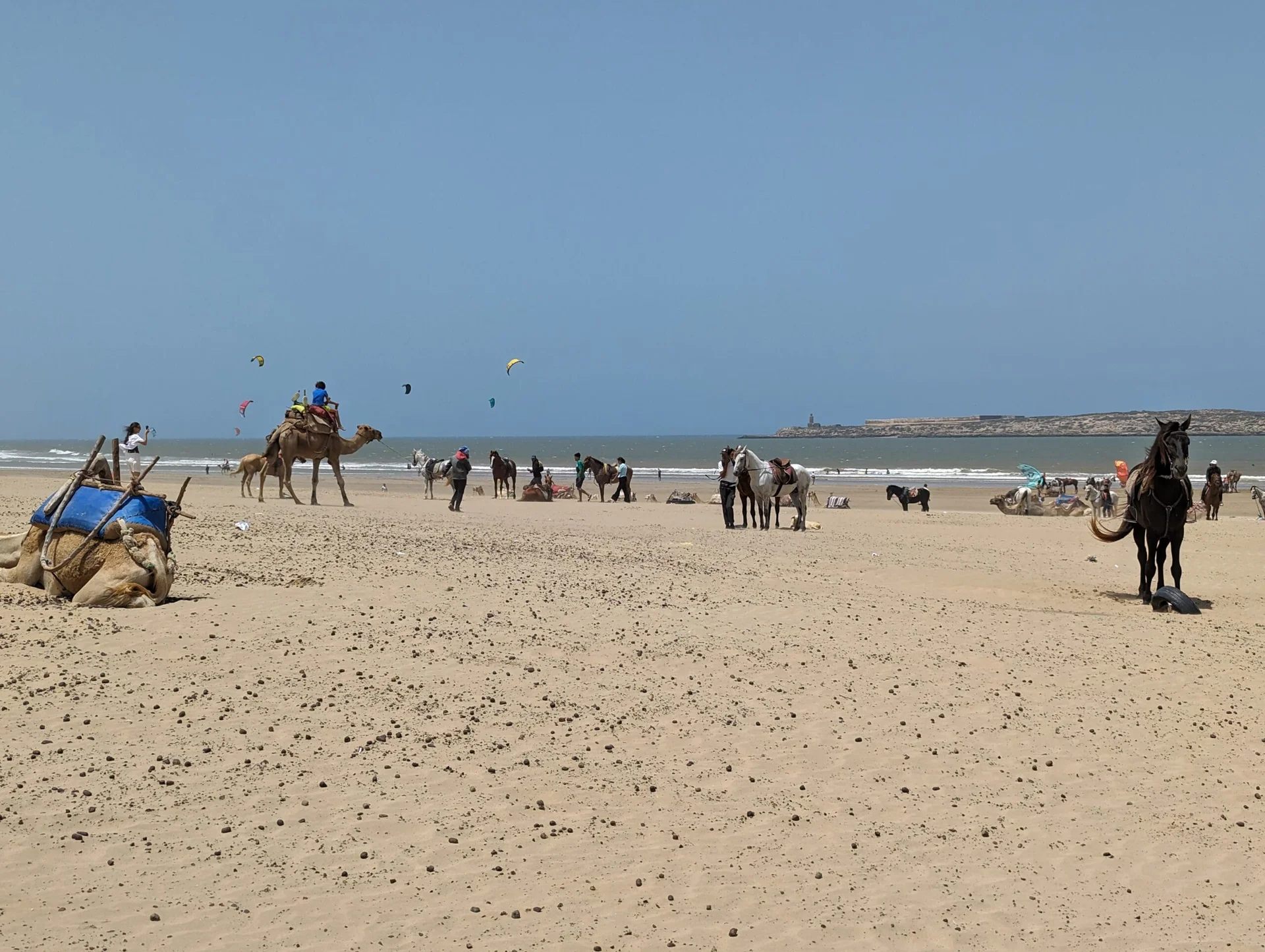 Plage d'Essaouira