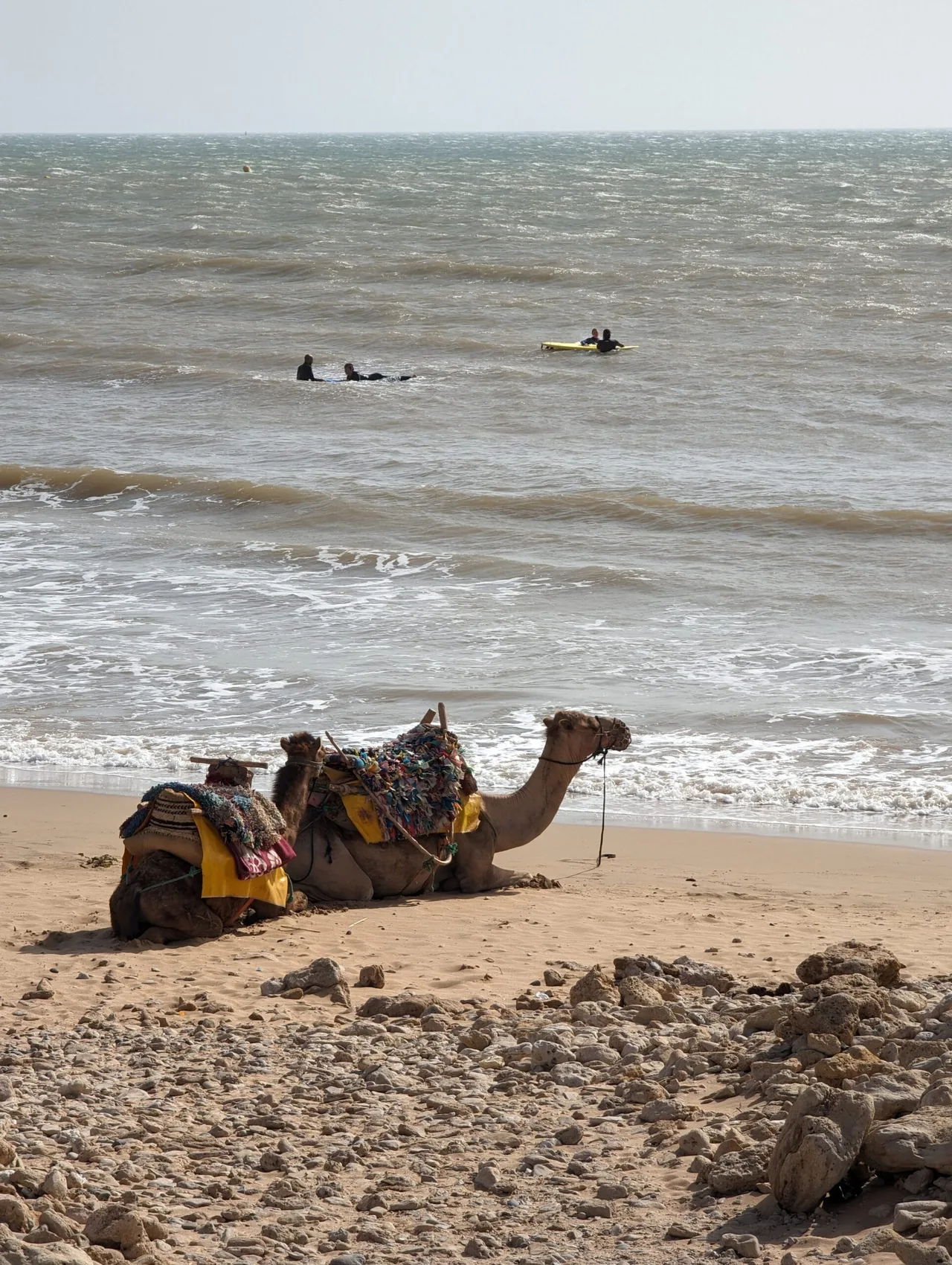 Essaouira97-scaled.jpg