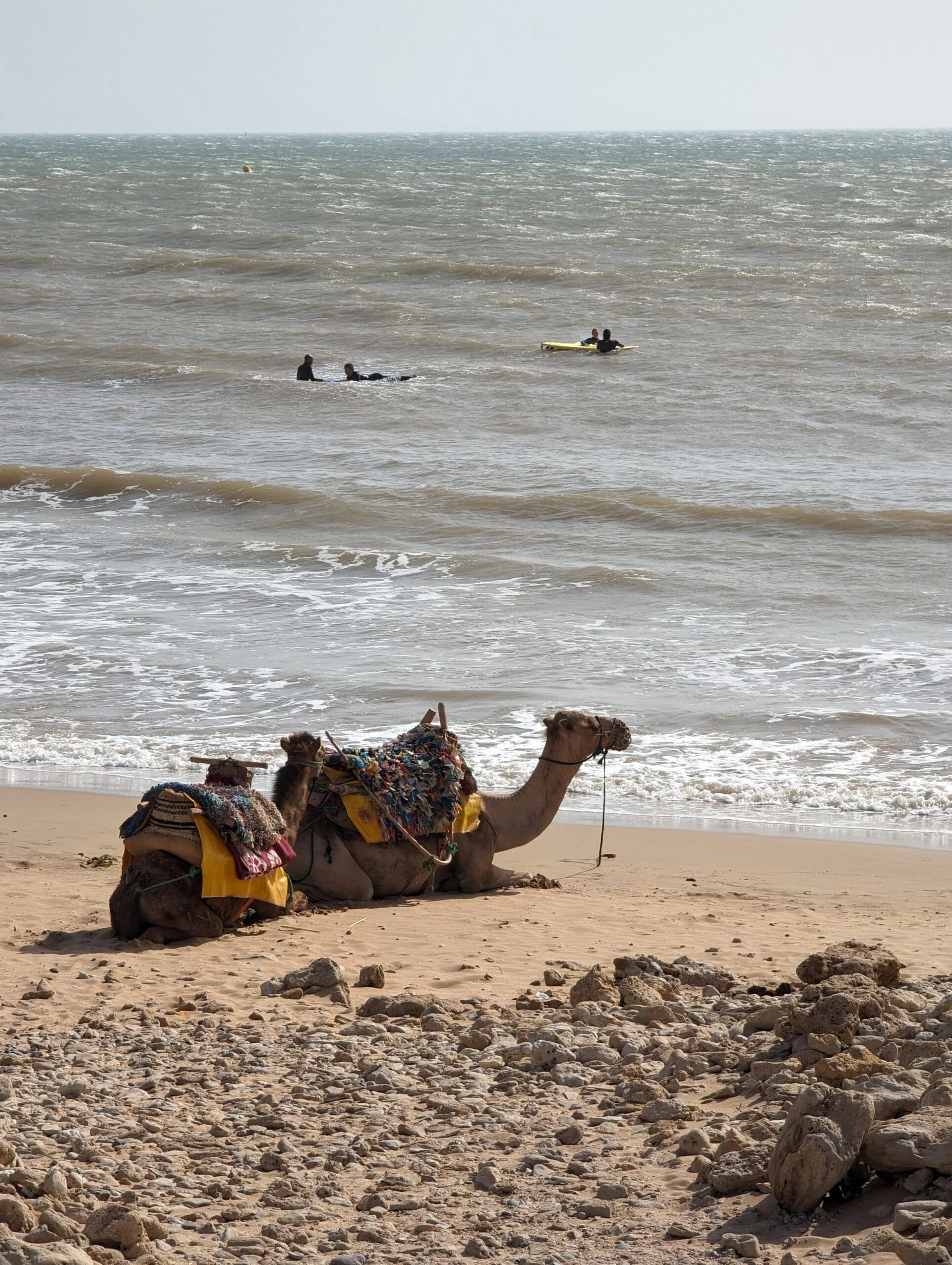 Essaouira97-scaled.jpg