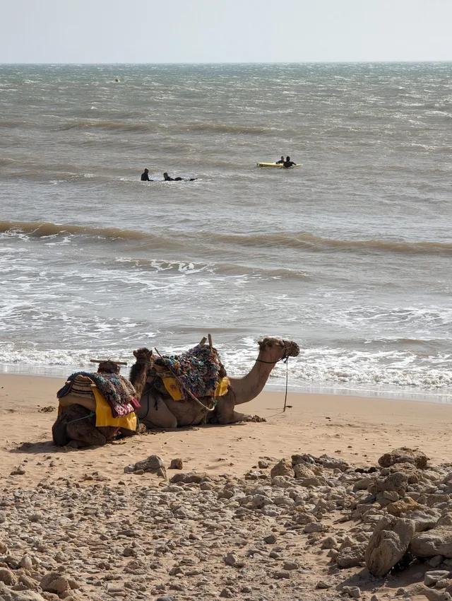 Essaouira97-scaled.jpg