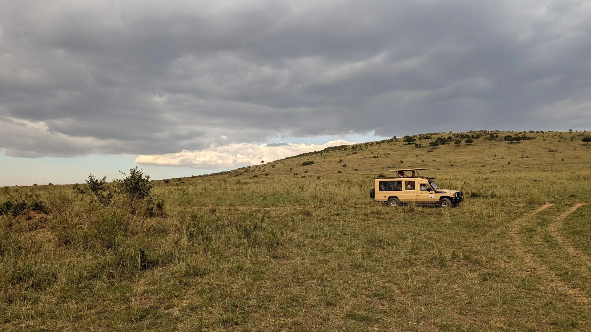 Masai Mara, Kenya