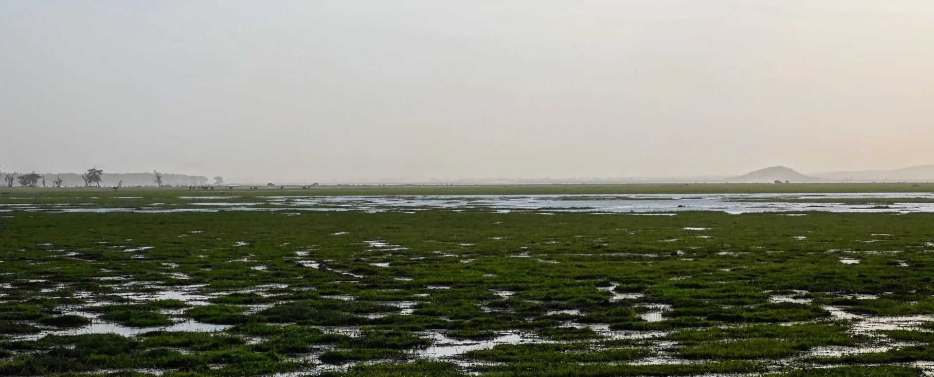 Fin de journée au parc Amboseli