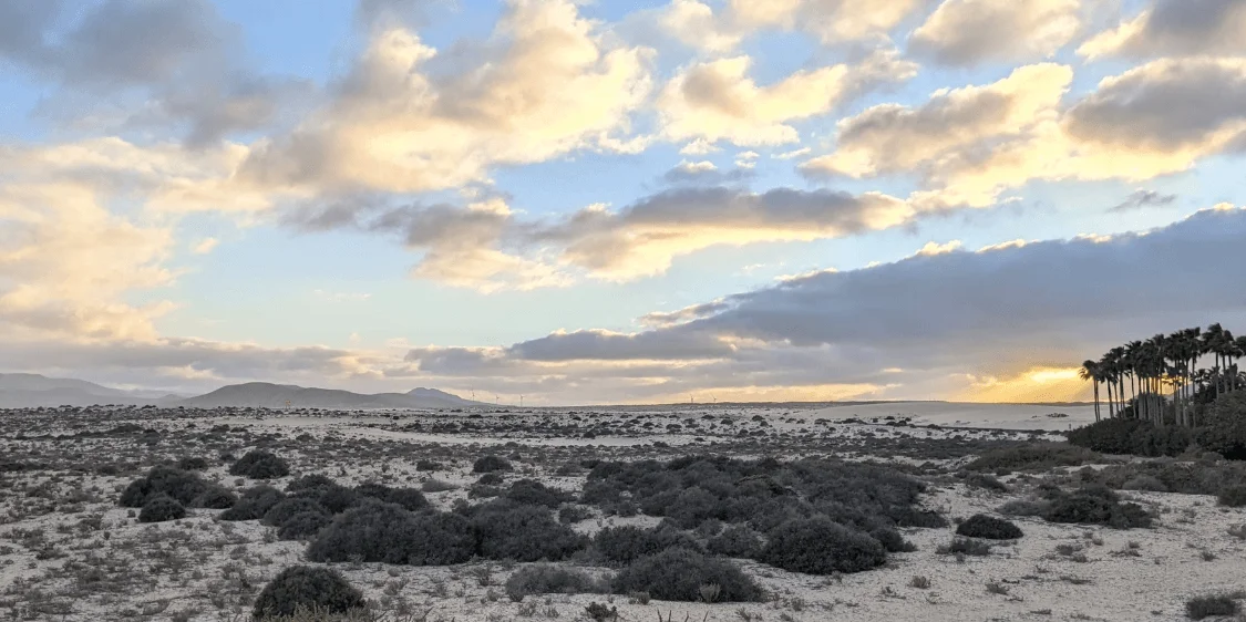 Post Cover Fuerteventura