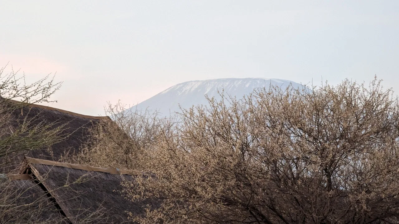 Vue sur le Kilimandjaro depuis les tentes du AA Lodge Amboseli