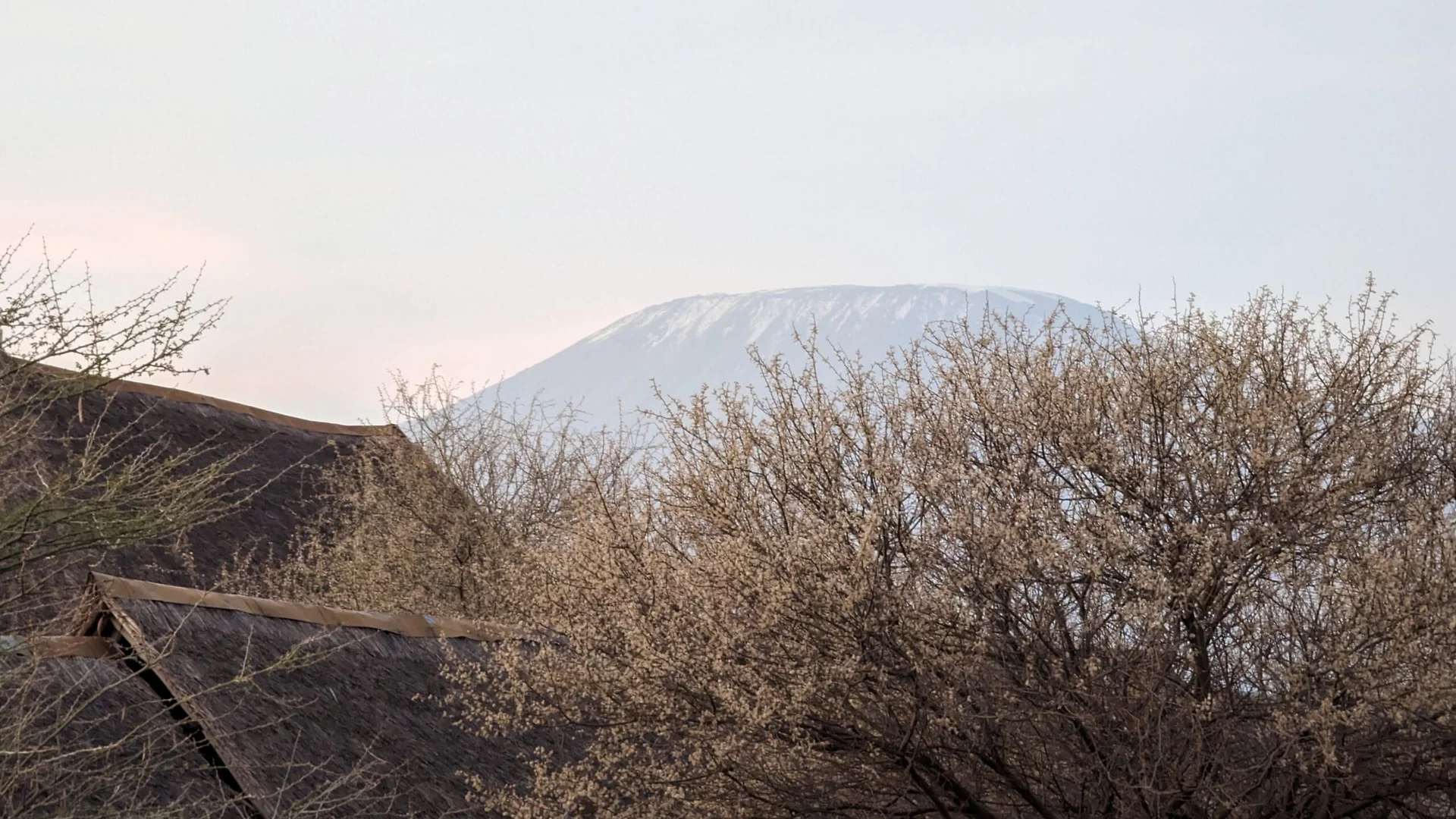 Vue sur le Kilimandjaro depuis les tentes du AA Lodge Amboseli