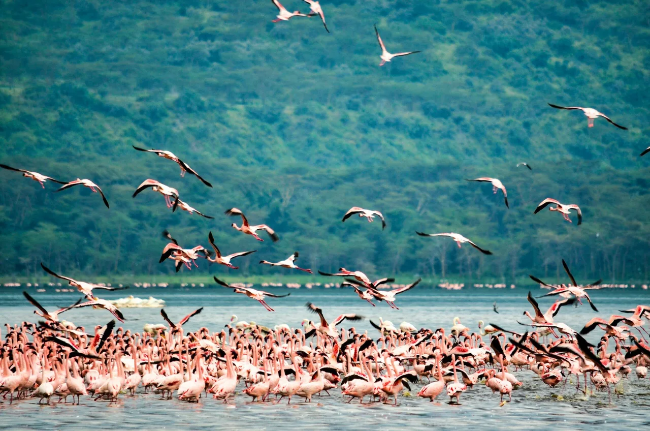 bibhash-polygon-cafe-banerjee-3QPNiZ_Nqjs-unsplash-scaled.jpg