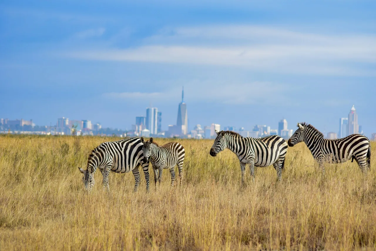 grace-nandi-FzkGHmvvsto-unsplash-scaled.jpg