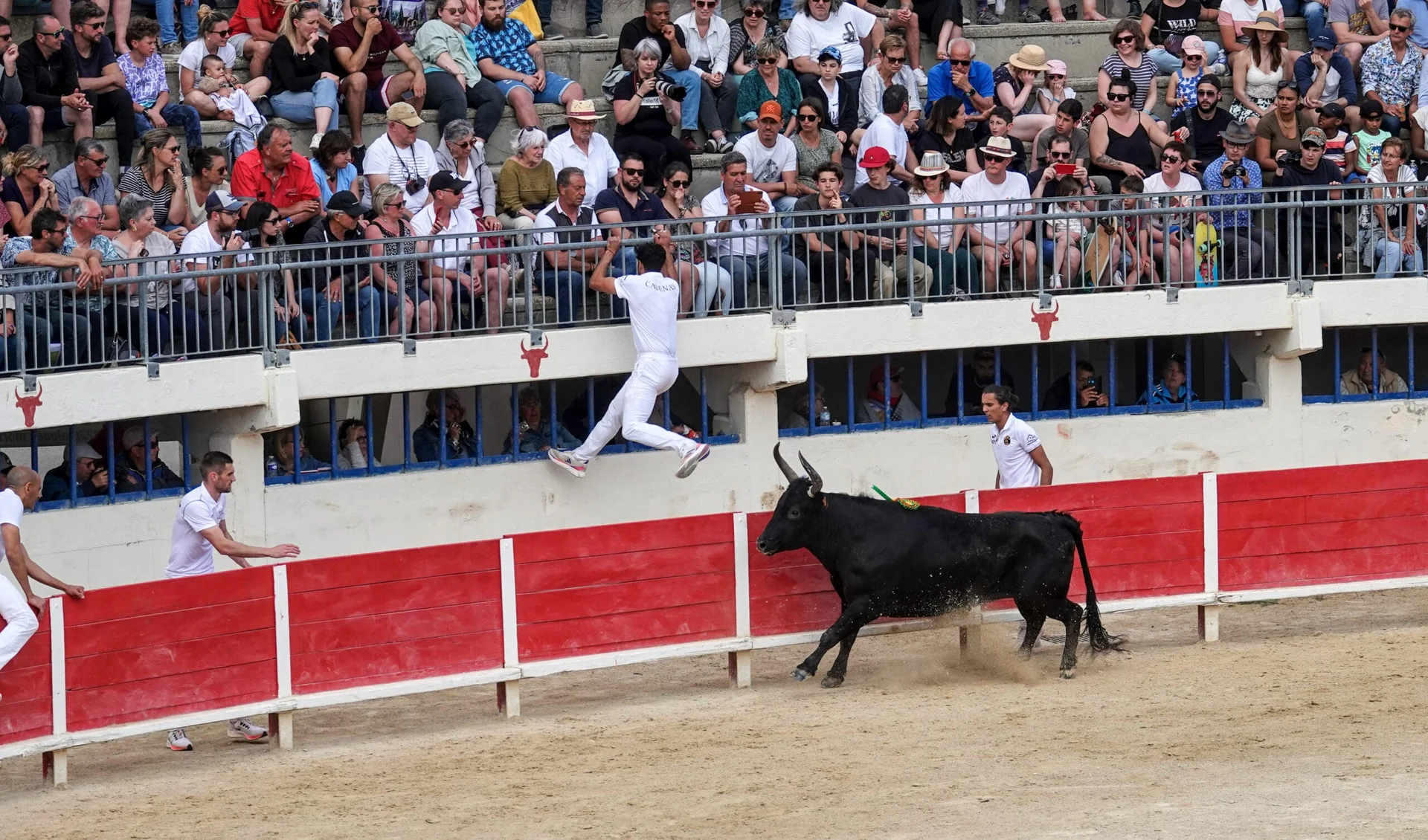 Aigues-Mortes-Camargue-45-scaled.jpg