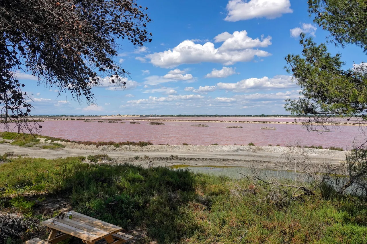 Aigues-Mortes-Camargue-54-scaled.jpg