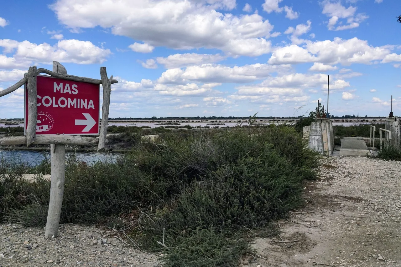 Aigues-Mortes-Camargue-70-scaled.jpg