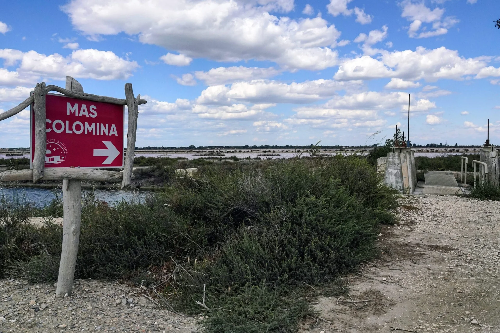 Aigues-Mortes-Camargue-70-scaled.jpg