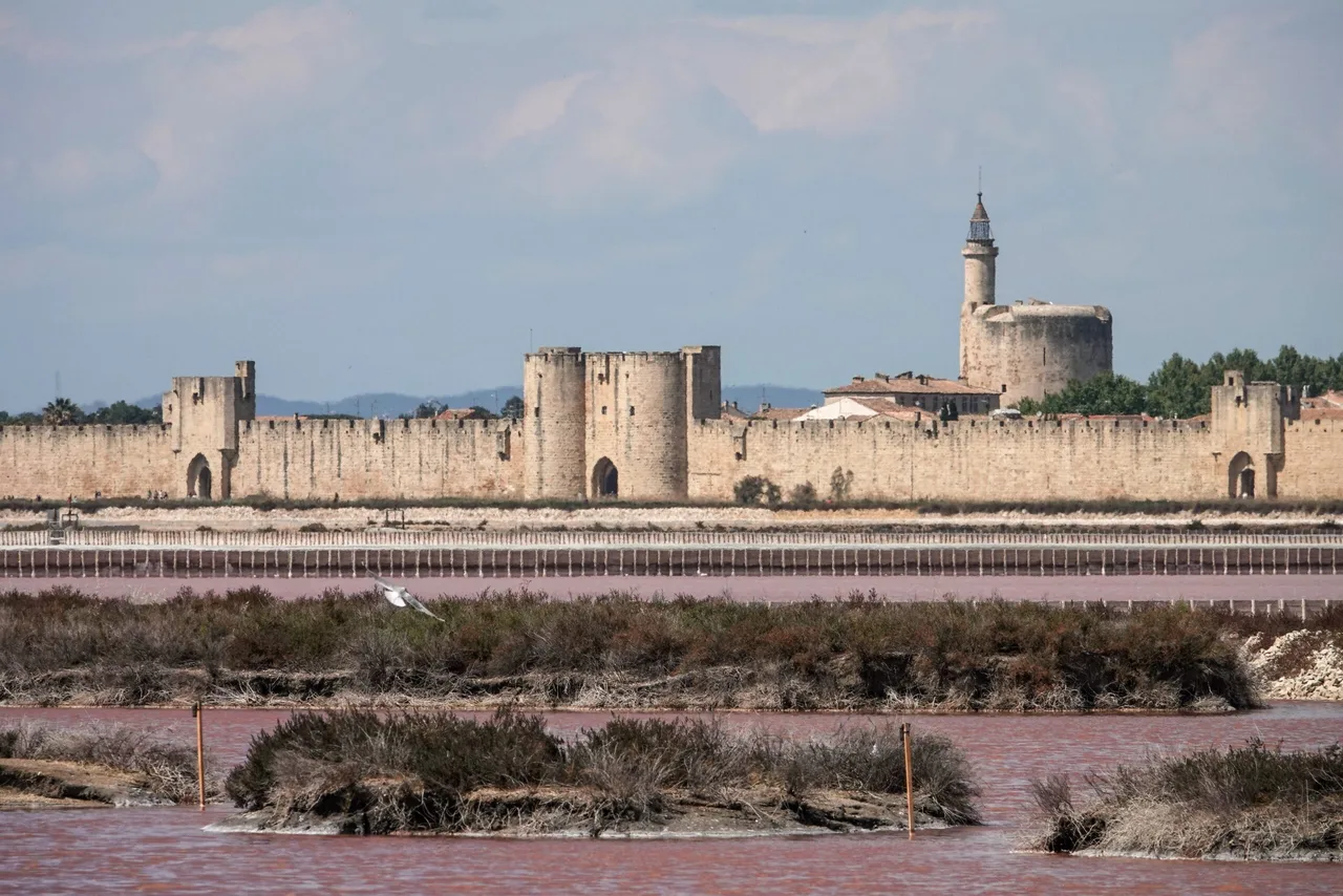Aigues-Mortes, Camargue
