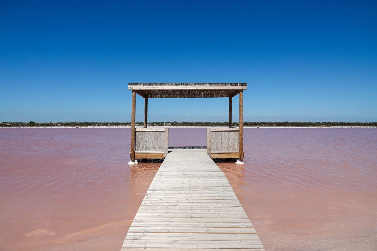 Aigues-Mortes, Camargue