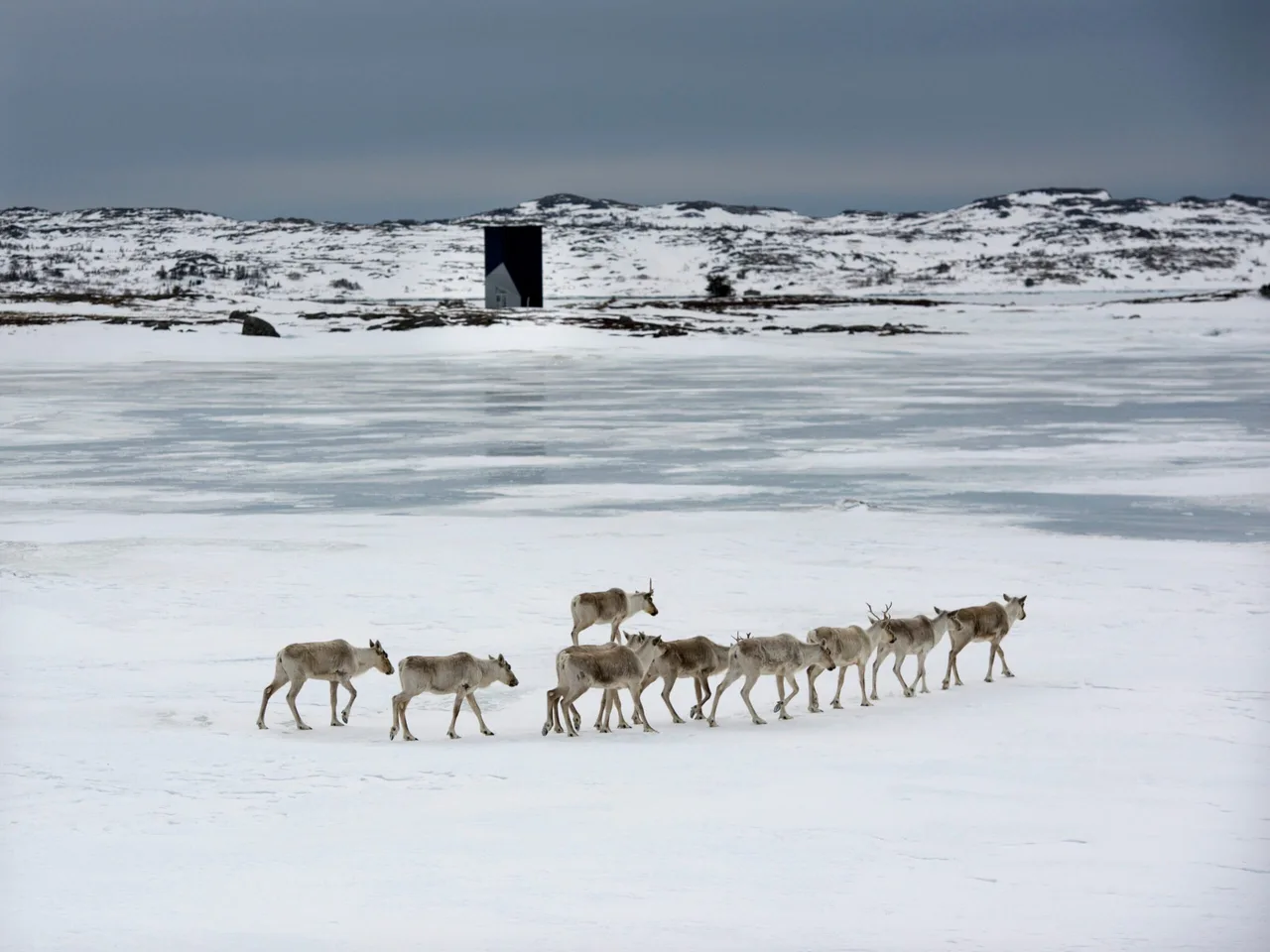 Fogo Island