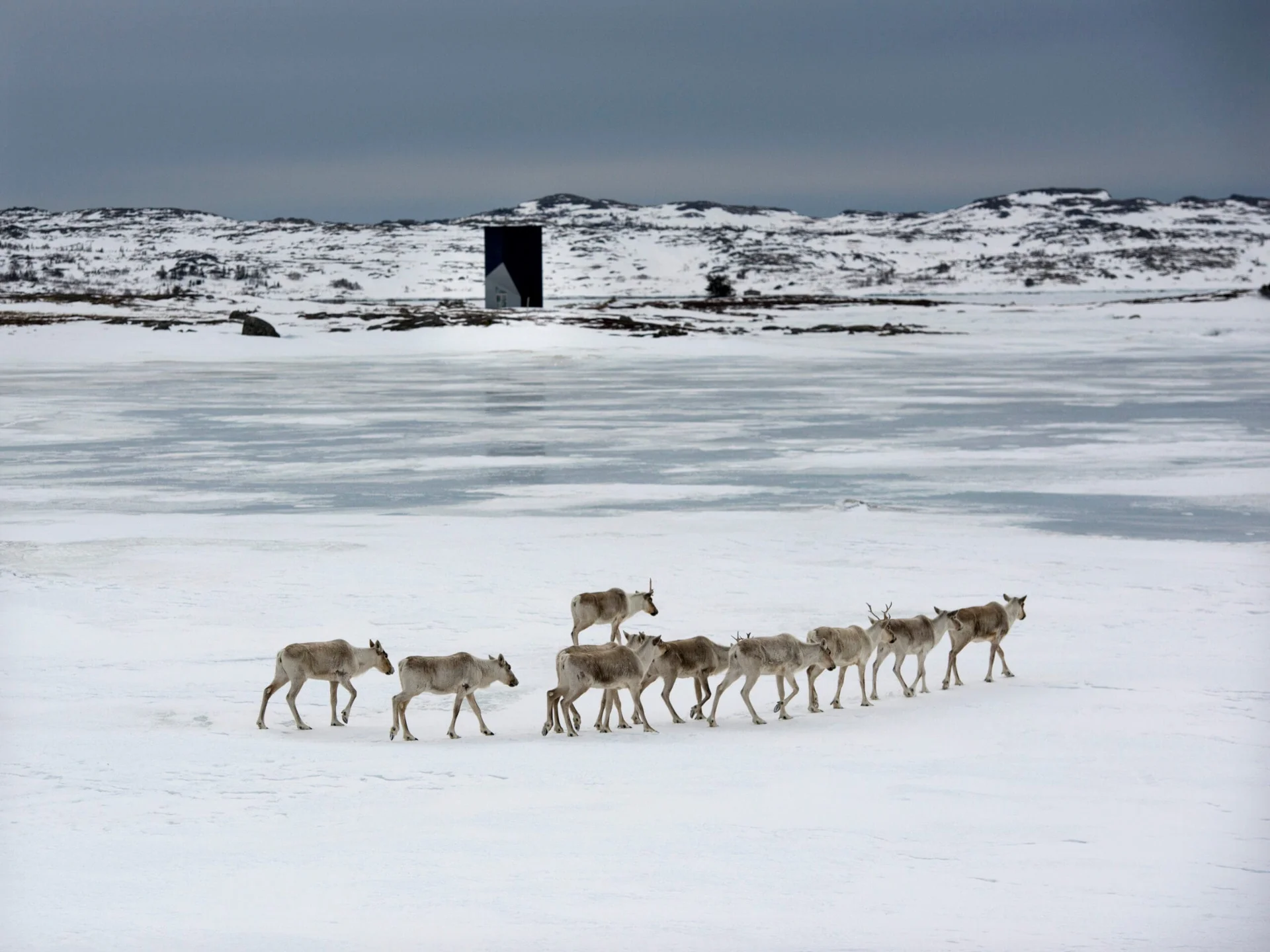 Fogo Island