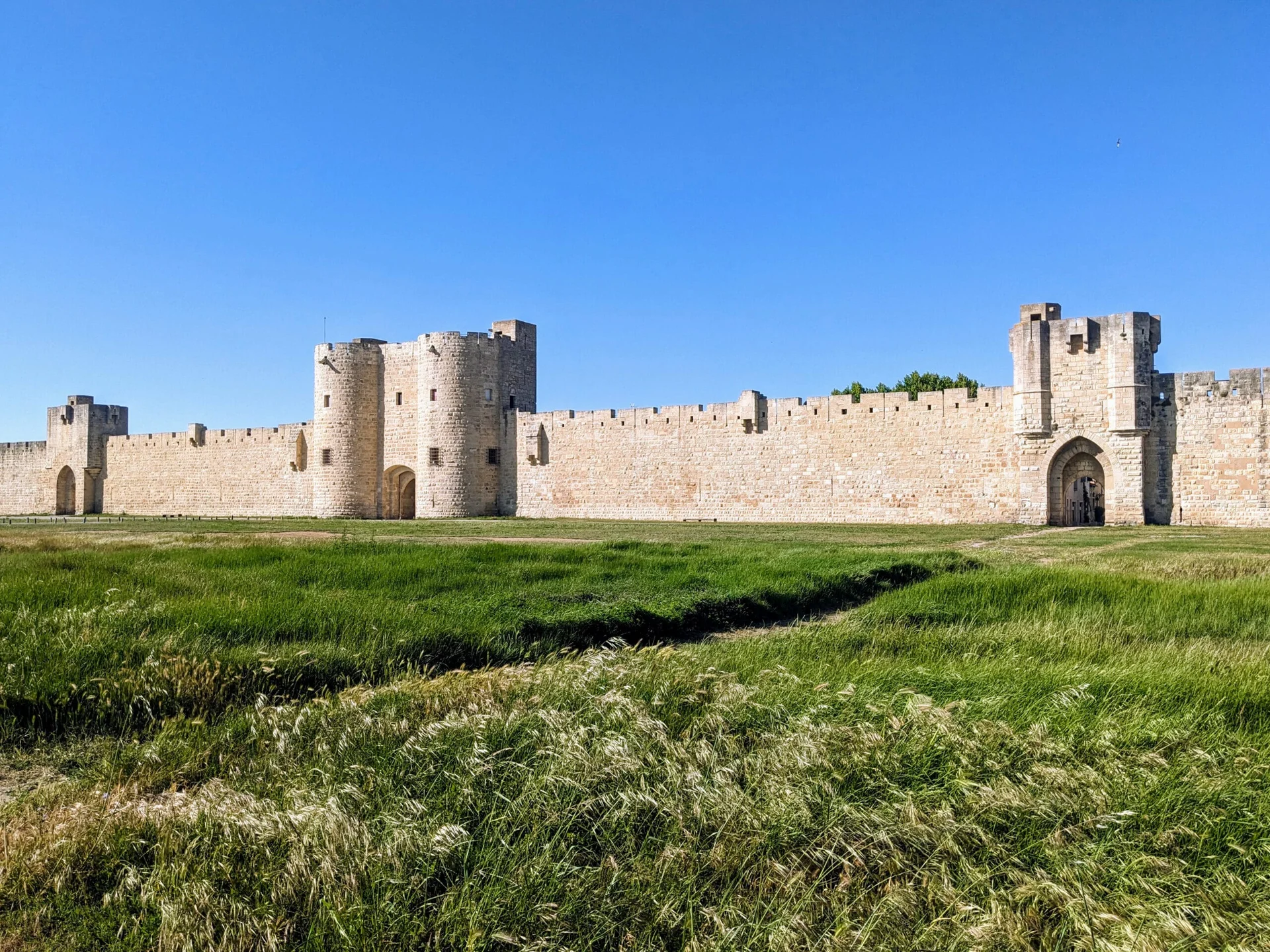 Aigues-Mortes, Camargue