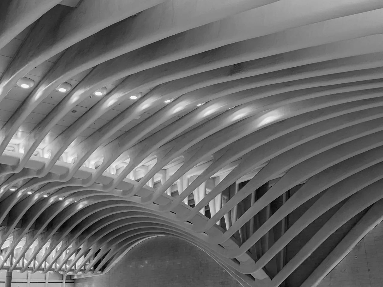 New-York-131-scaled.jpg