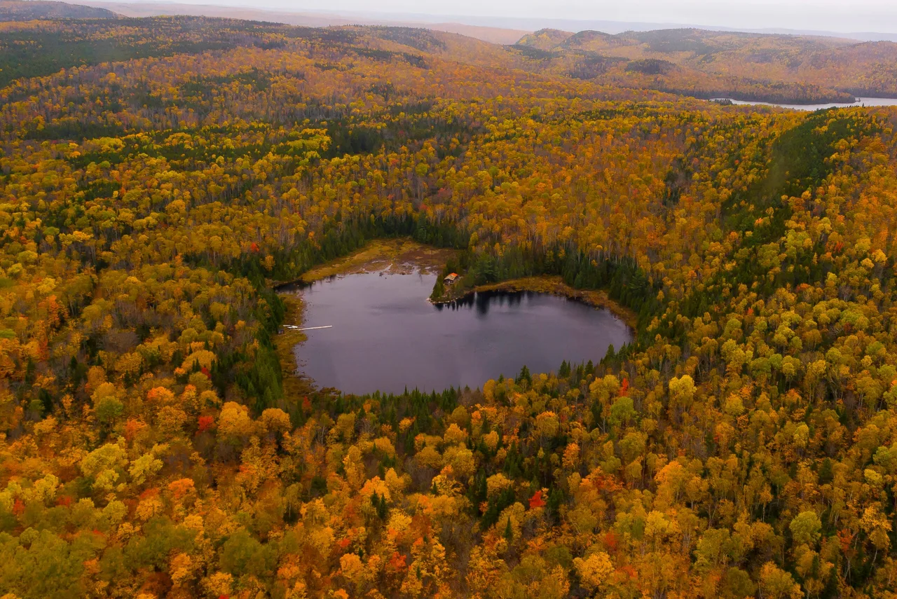 Paysage aérien - Lac des Atocas