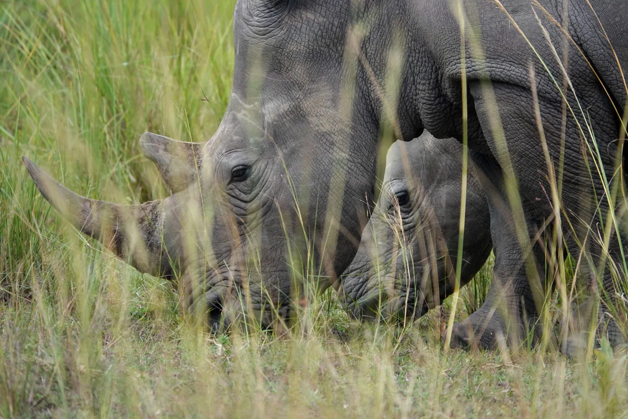 Ouganda-05-scaled.jpg