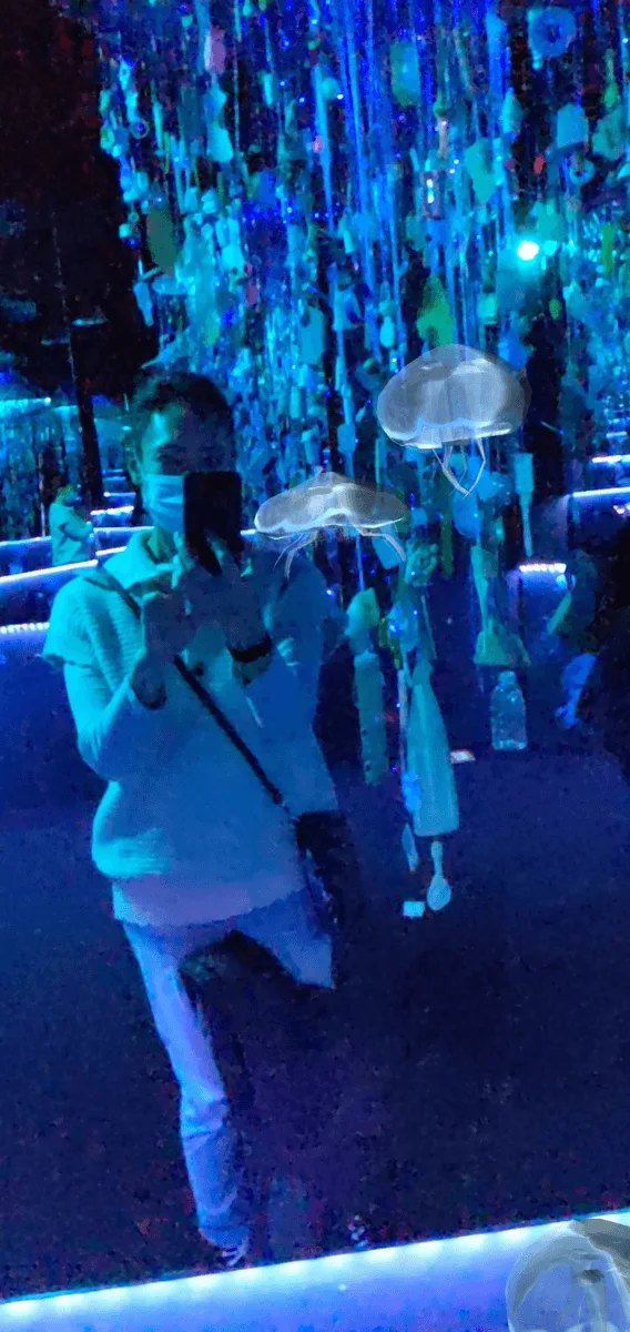 ArcadiaEarthMedia_localhost_1_5_2022_18_15_44.png