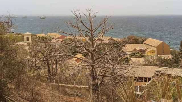 Goree-09.jpg