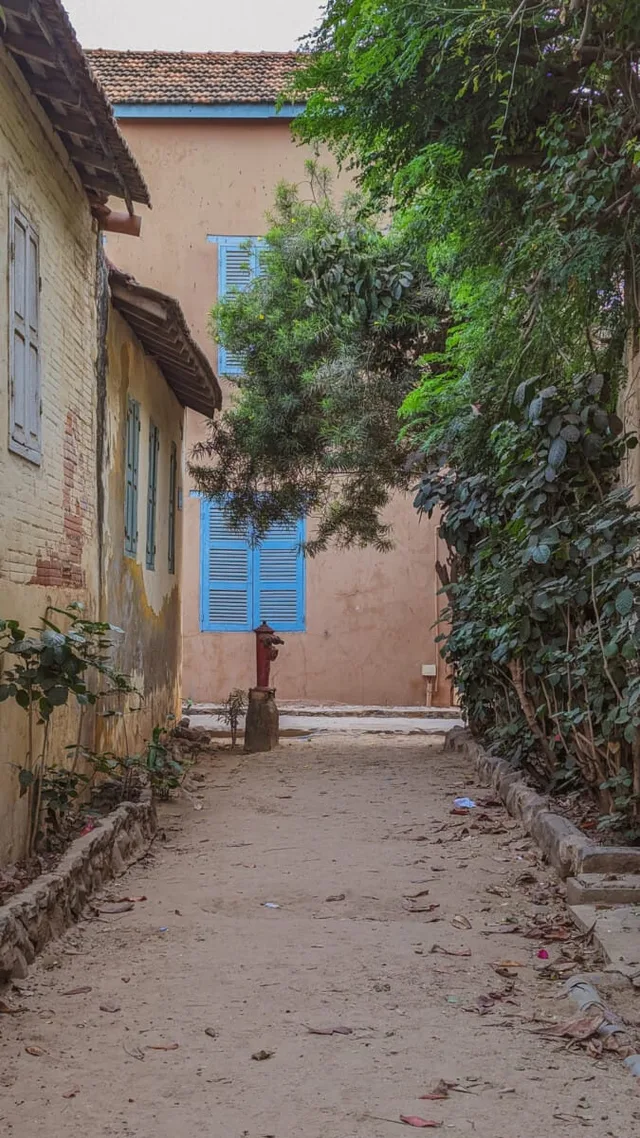 Goree-22.jpg