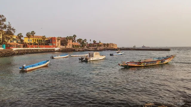 Goree-26.jpg