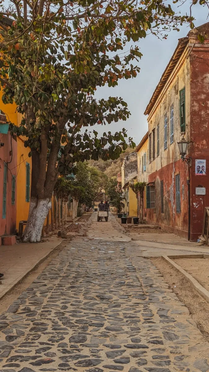 Goree-35.jpg