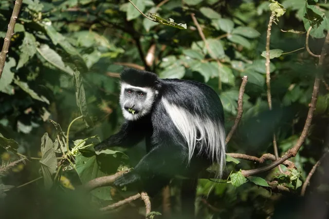 Ouganda-210.jpg