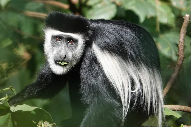 Ouganda-212.jpg