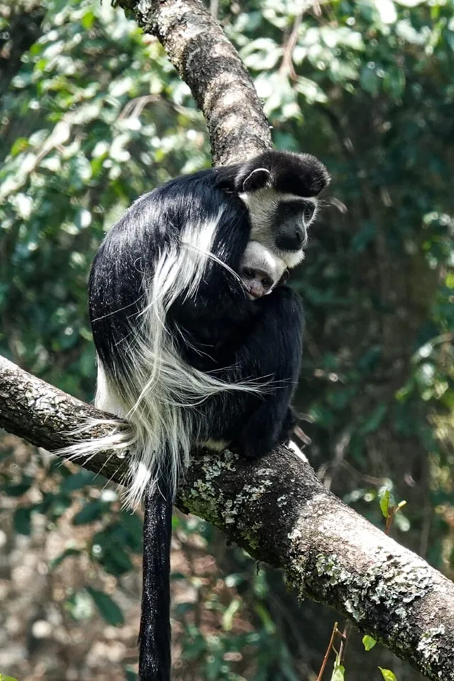 Ouganda-213.jpg