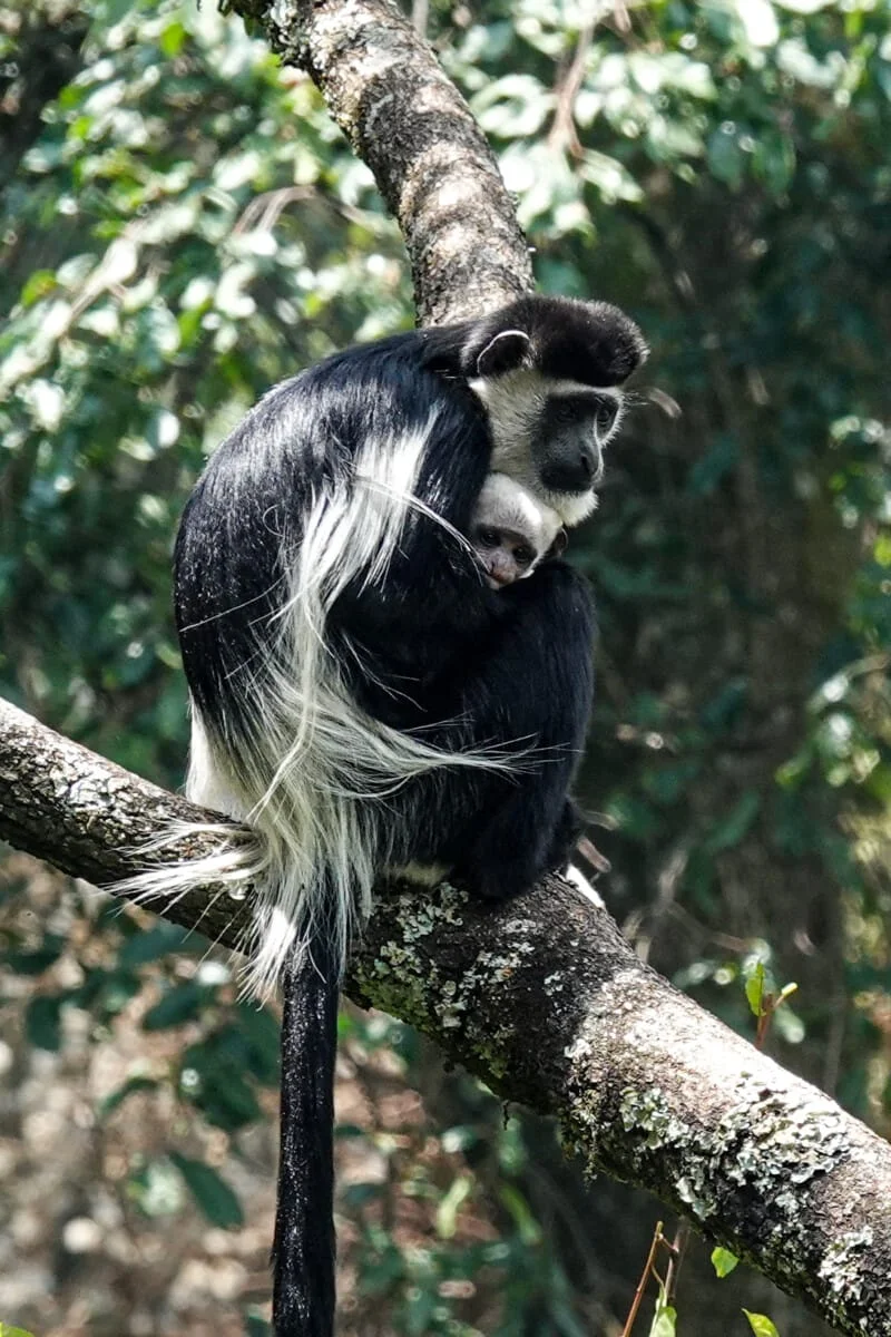 Ouganda-213.jpg